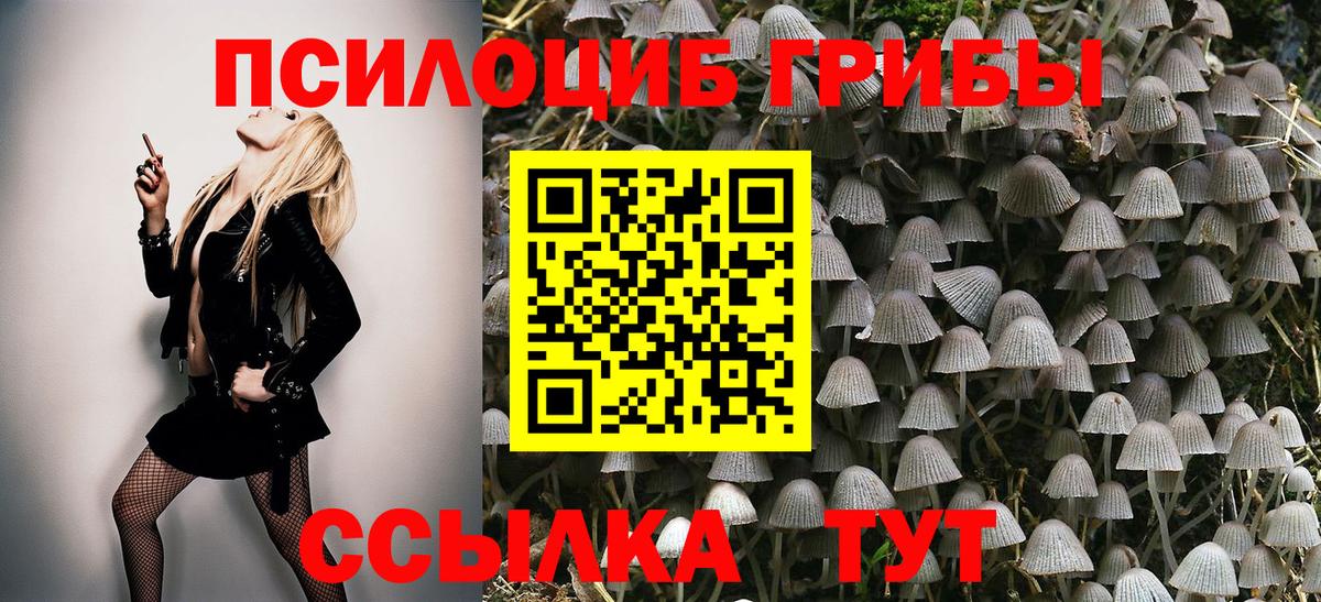 Галлюциногенные грибы GOLDEN TEACHER  как найти   Домодедово  Вход с VPN 