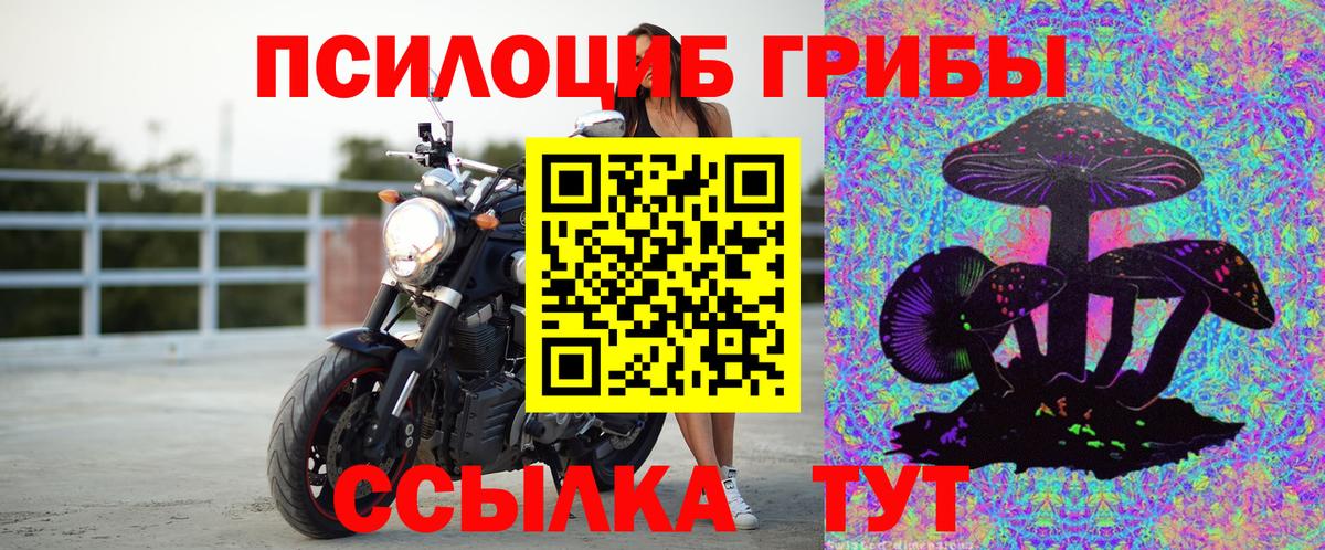 Галлюциногенные грибы MAGIC MUSHROOMS Домодедово