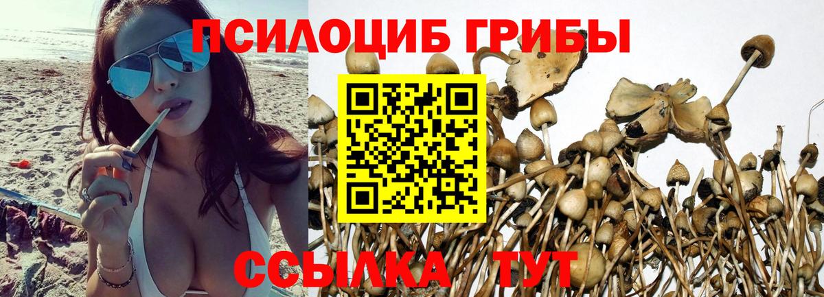 A-PVP Домодедово